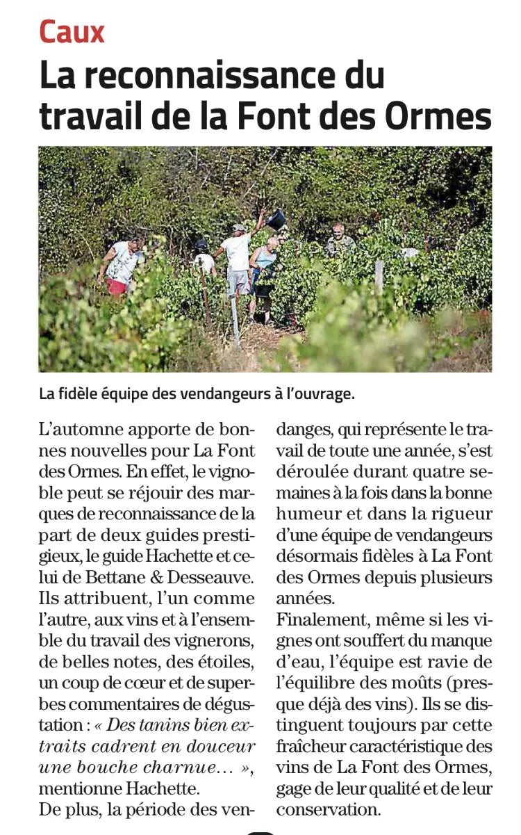 revue de presse vin caux