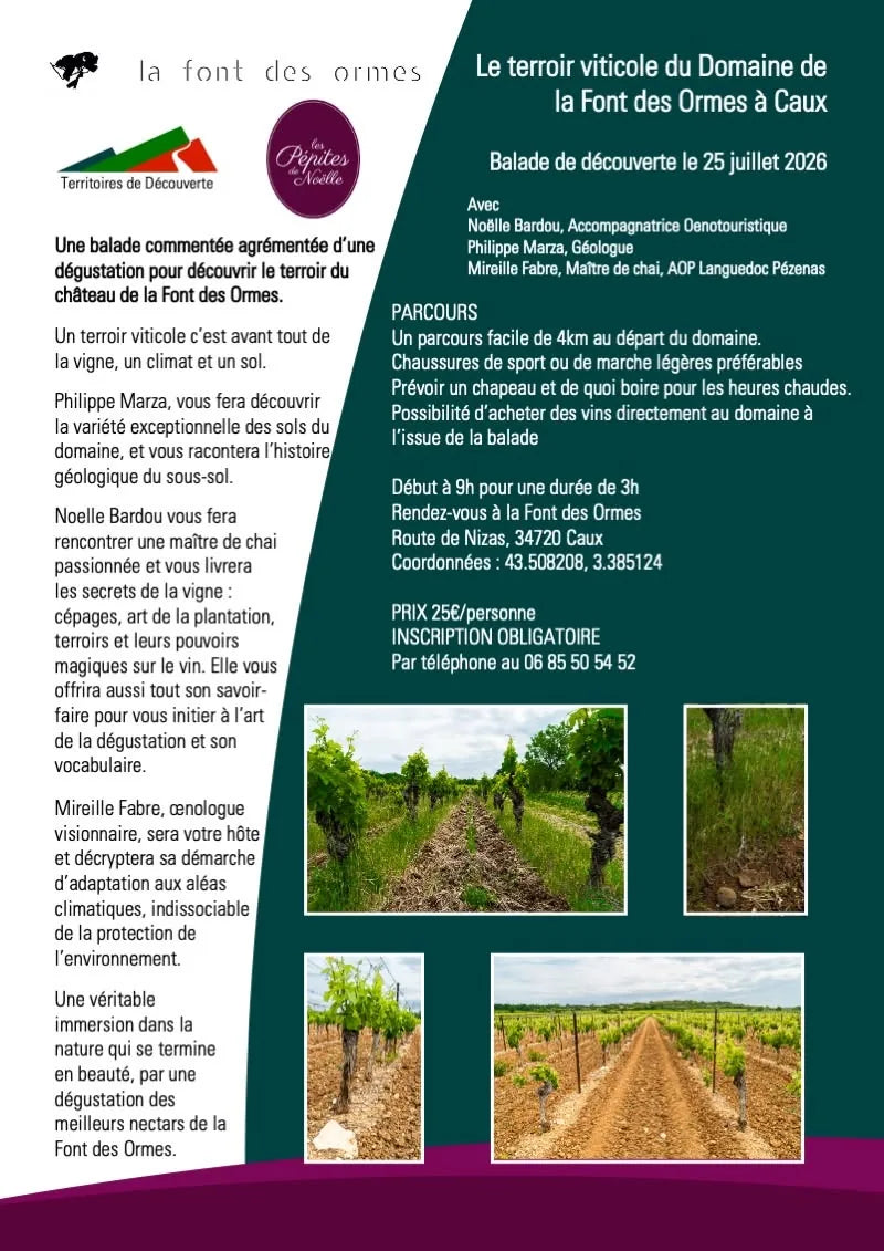balade-decouverte-250726