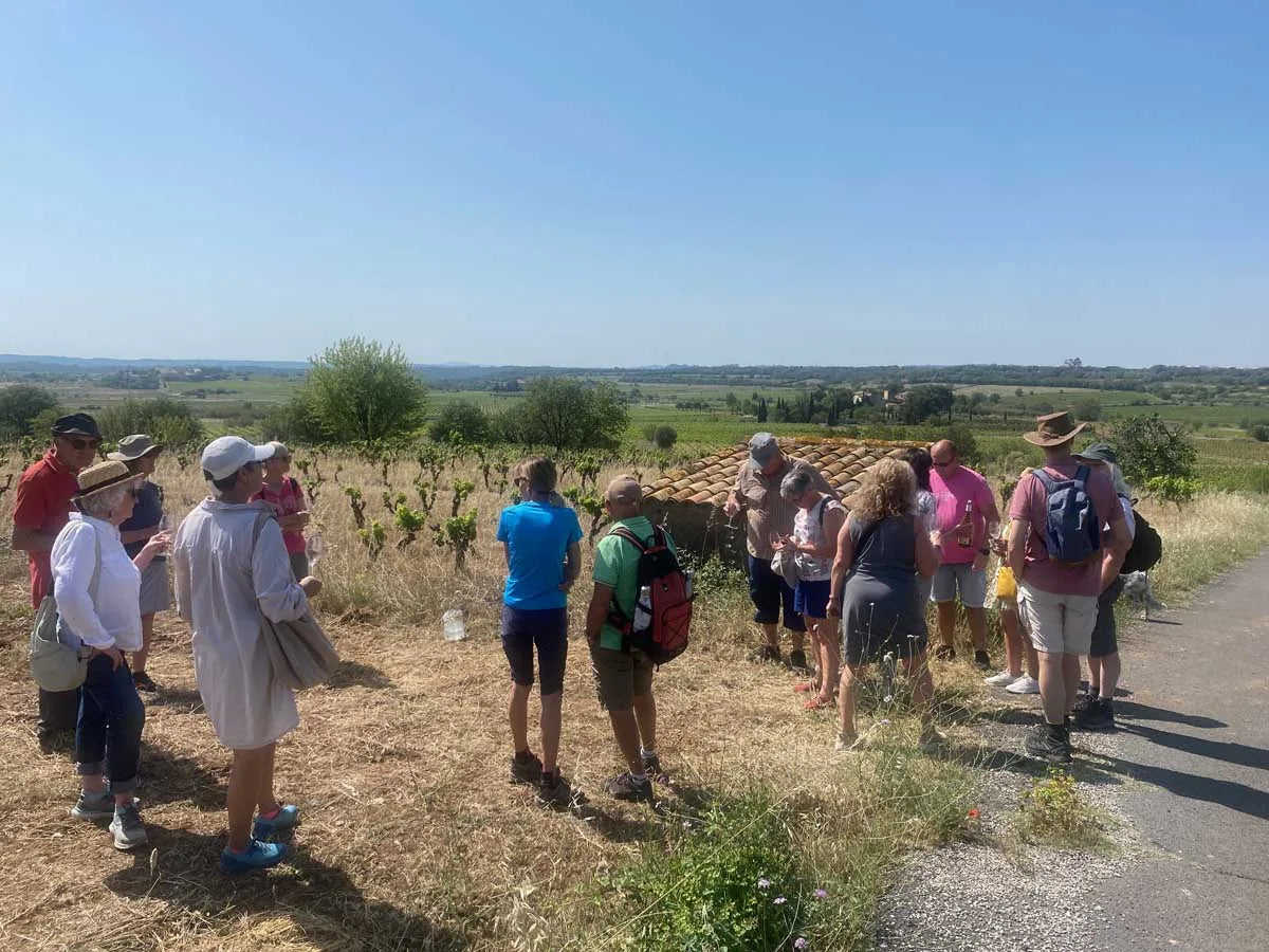 pique nique et balade dans les vignes