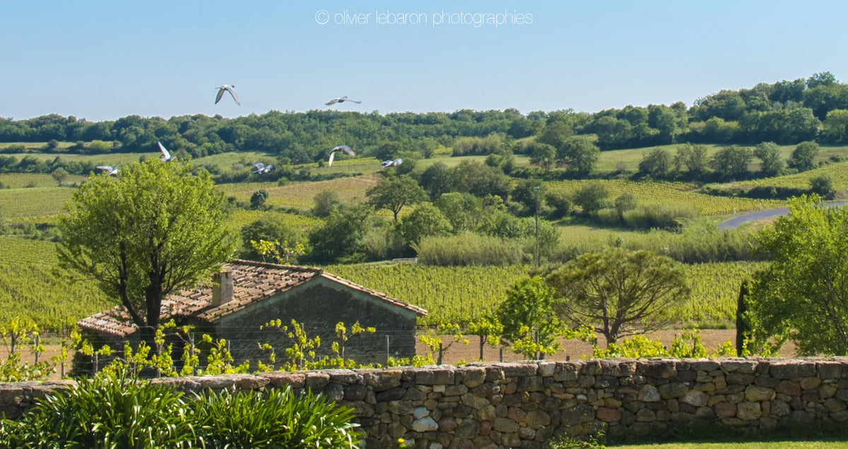 Pique Nique chez Le Vigneron – Vignerons Indépendants