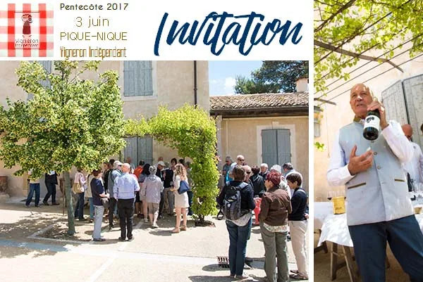 pique nique vigne pezenas