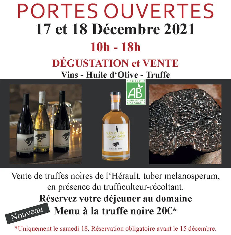 flyer-PO2021-Vlight