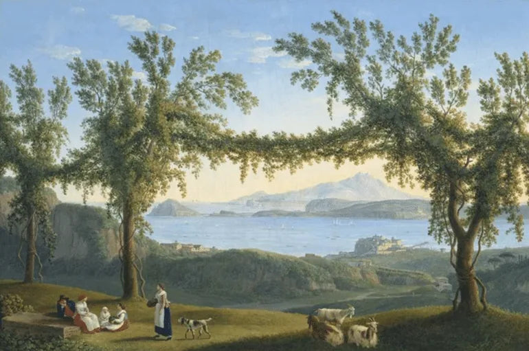 ormes et vignes