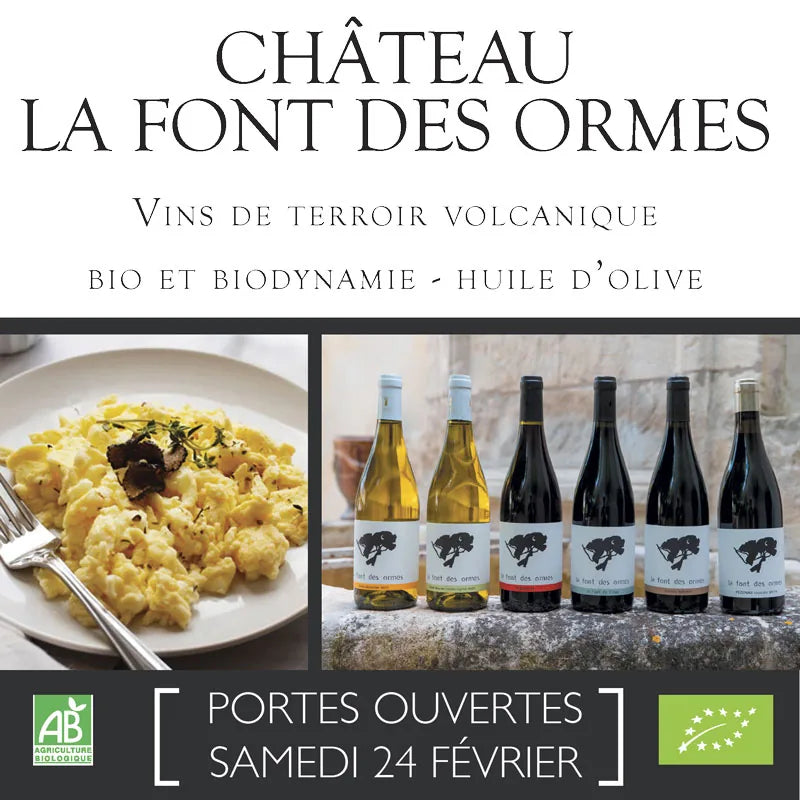 journée dégustation truffe et vins