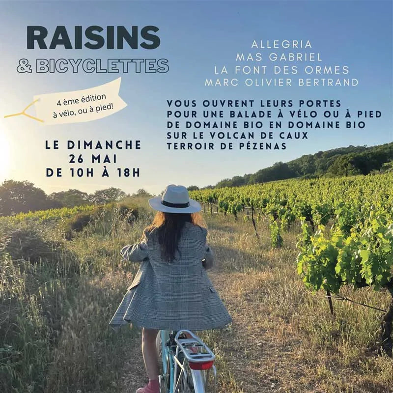 balade raisins et bicyclettes à caux sur le terroir Pézenas