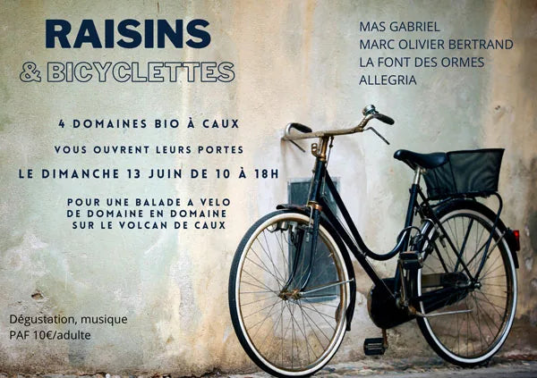 raisins et bicyclette