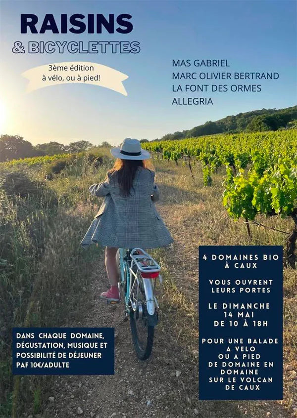 balade à vélo ou à pied dans le vignoble de basalte à Caux