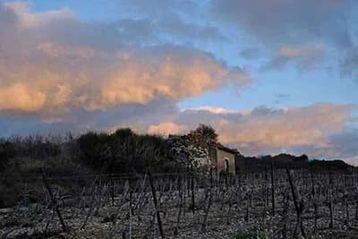 le terroir c'est le gout