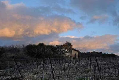 le terroir c'est le gout