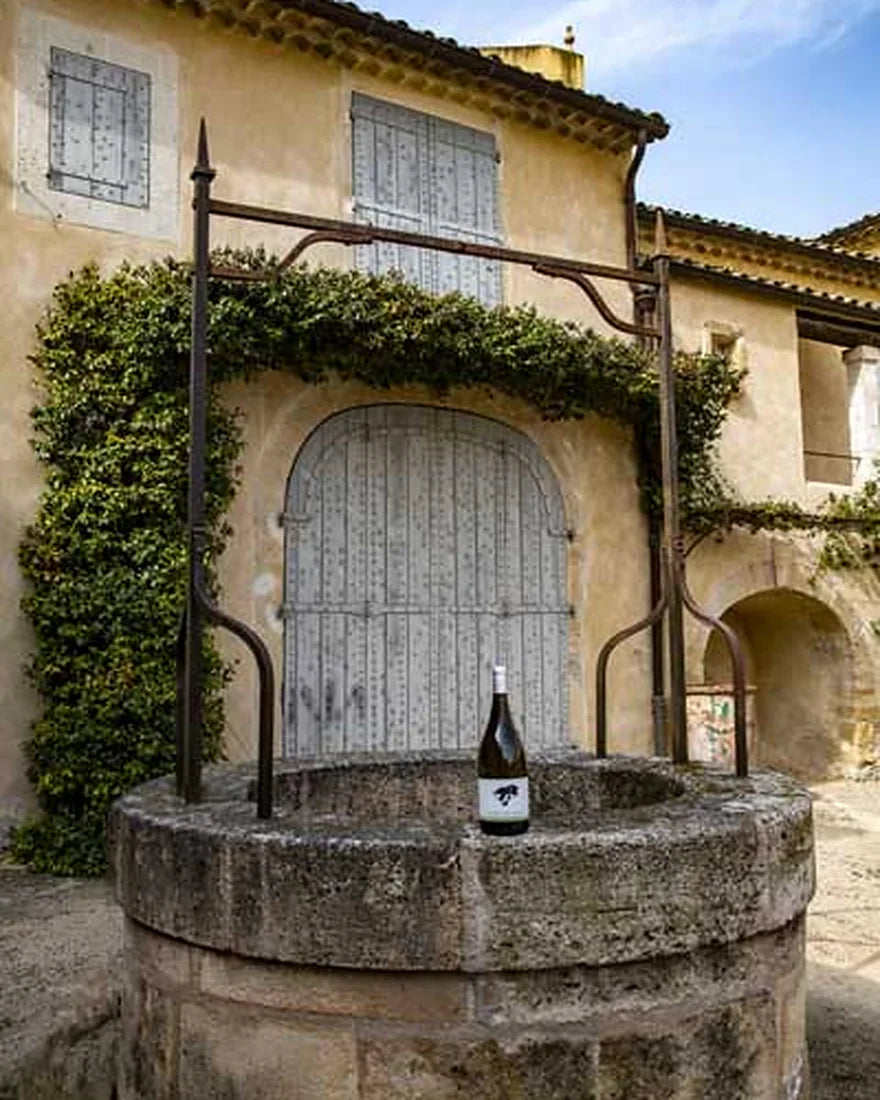 La façade du domaine, sa porte en arc sous la treille, et le puits de pierre dans la cour