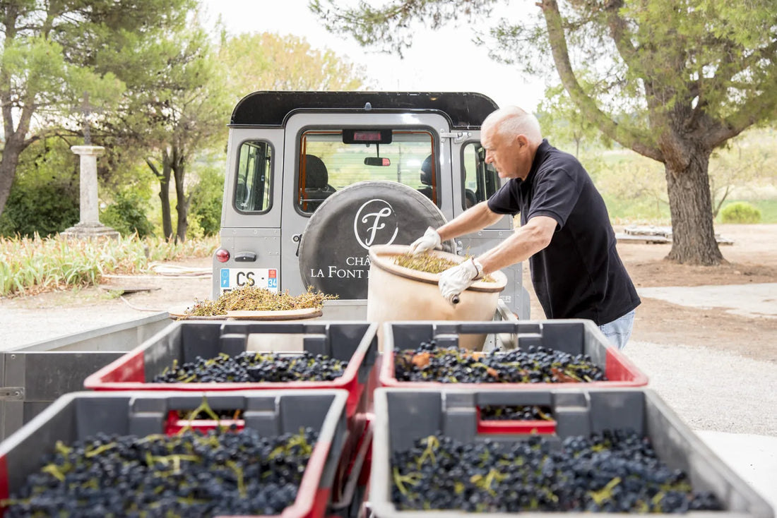 Le véhicule du domaine chargé des caisses de vendange, sous les arbres
