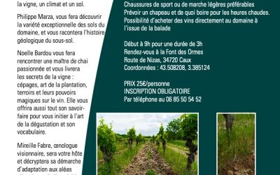 Balade découverte 25 juillet 2026