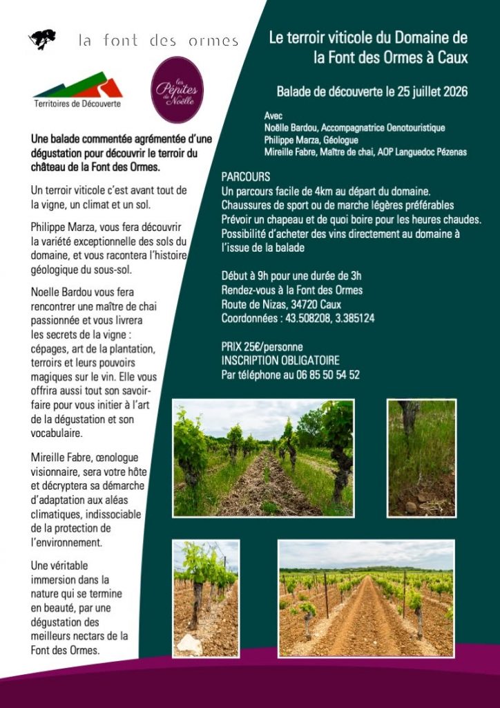 balade decouverte terroir viticole à caux