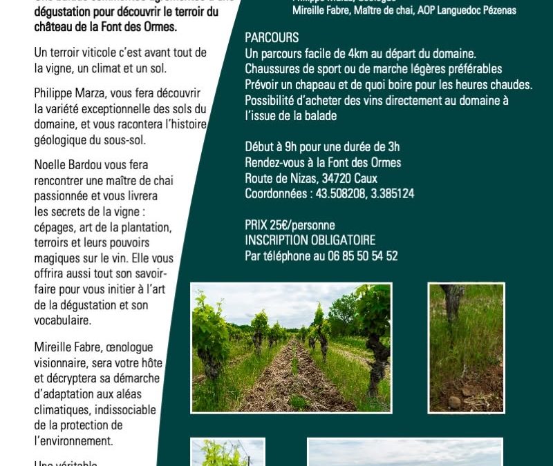 Balade découverte 25 juillet 2026