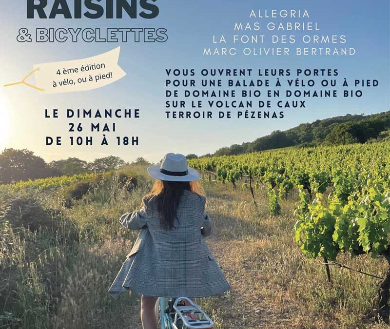 Raisins et Bicyclettes – balade sur le terroir Pézenas à Caux